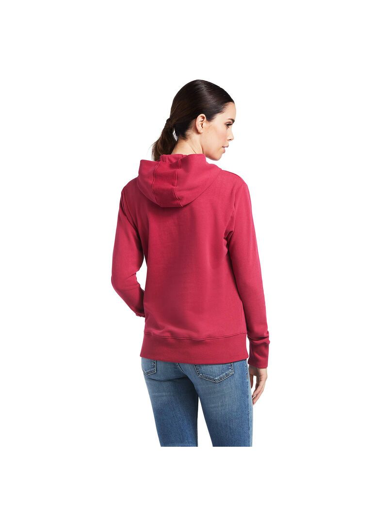 Sweat à Capuche Ariat 3D Logo 2.0 Rouge | MNP-0235143