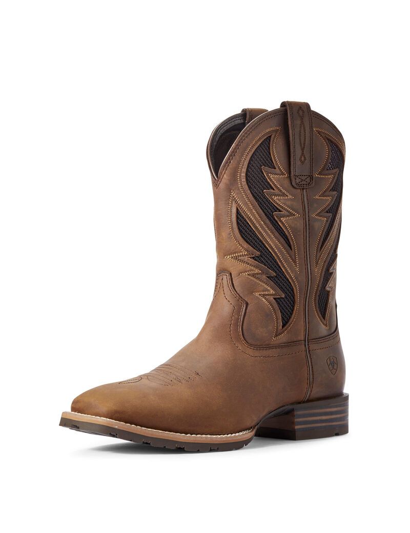 Bottes Western Ariat Hybride Venttek Marron | CLD-4248125