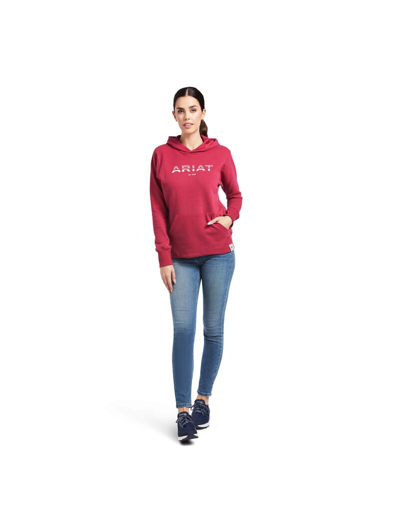 Sweat à Capuche Ariat 3D Logo 2.0 Rouge | MNP-0235143