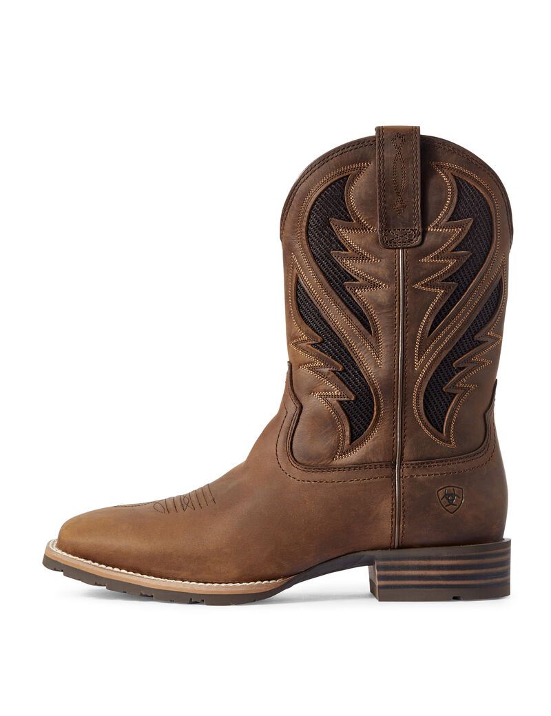 Bottes Western Ariat Hybride Venttek Marron | CLD-4248125