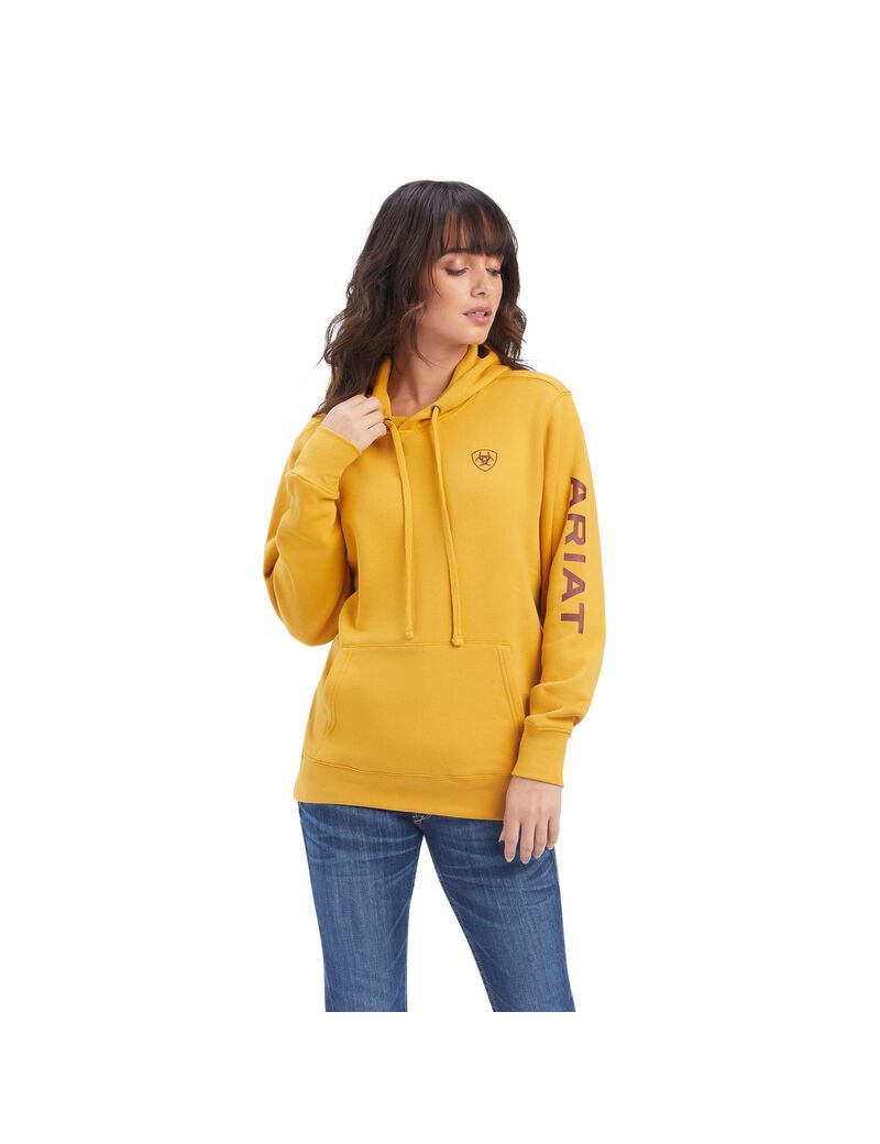 Sweat à Capuche Ariat REAL Classiche Arm Logo Doré | ZNH-9541773