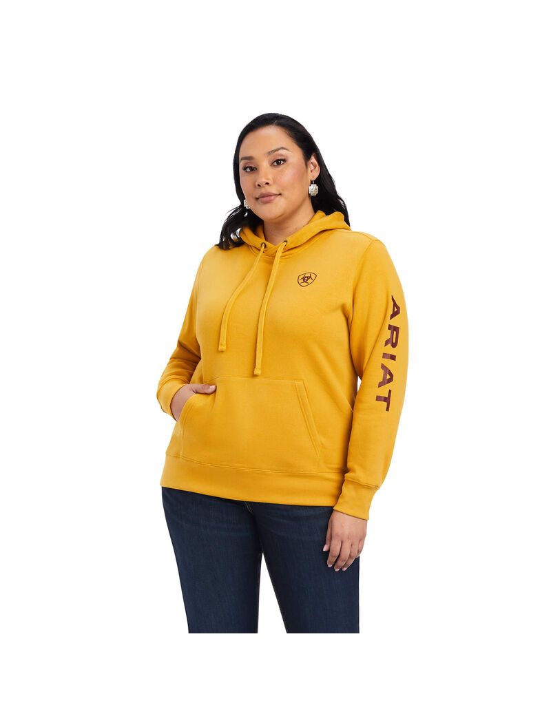 Sweat à Capuche Ariat REAL Classiche Arm Logo Doré | ZNH-9541773