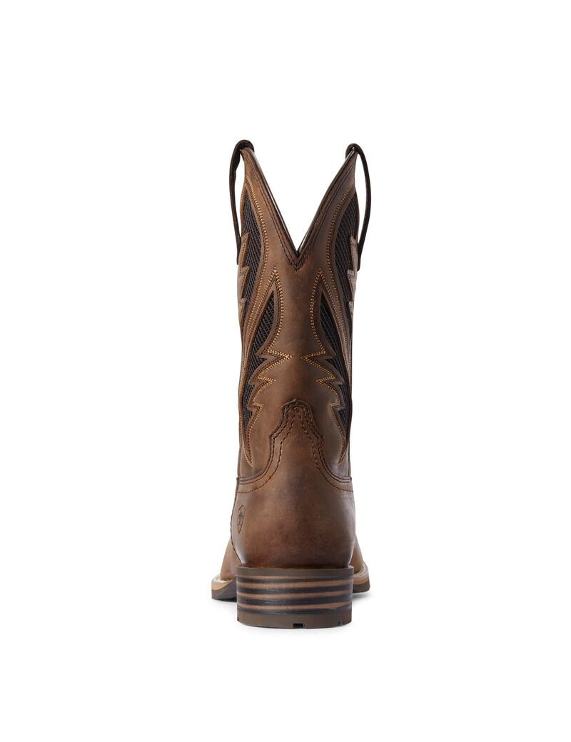 Bottes Western Ariat Hybride Venttek Marron | CLD-4248125