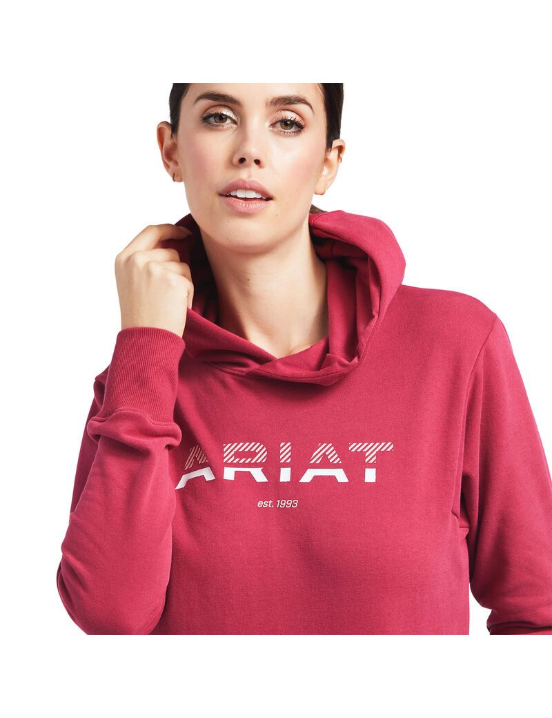 Sweat à Capuche Ariat 3D Logo 2.0 Rouge | MNP-0235143