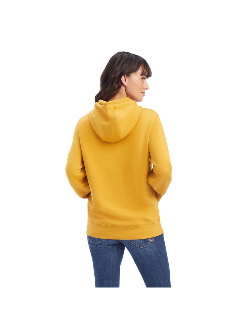 Sweat à Capuche Ariat REAL Classiche Arm Logo Doré | ZNH-9541773