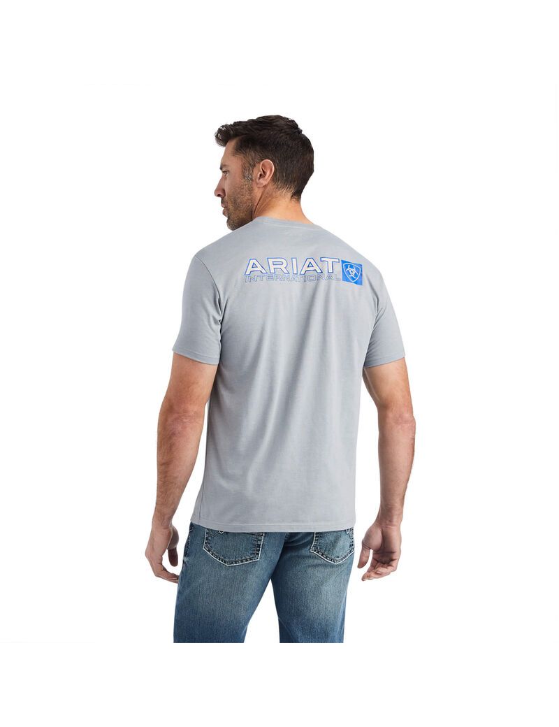 T Shirts Ariat Linear Octane Grise | MYT-4286554