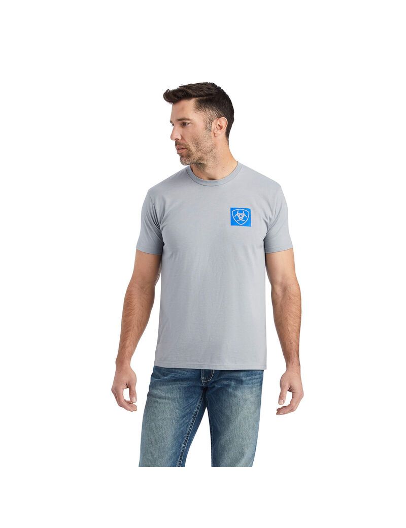 T Shirts Ariat Linear Octane Grise | MYT-4286554