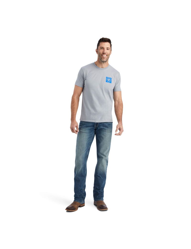 T Shirts Ariat Linear Octane Grise | MYT-4286554