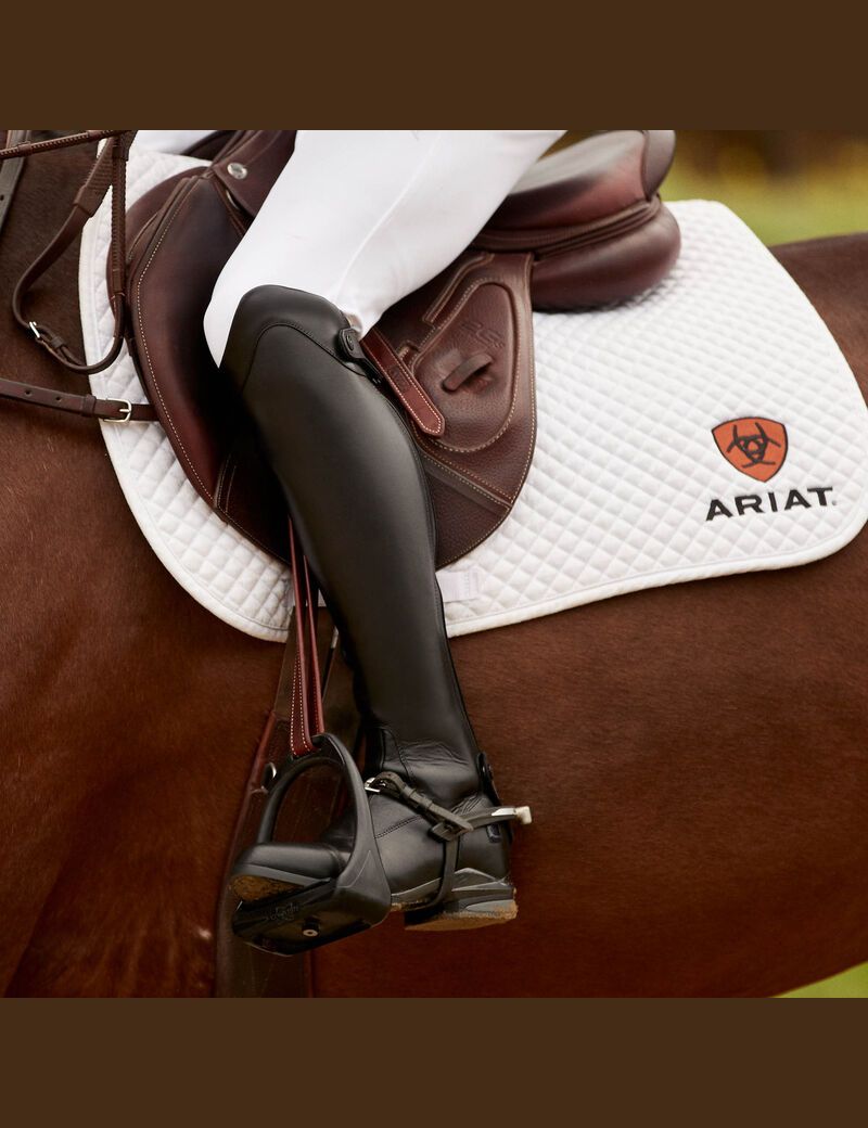 Bottes D'équitation Ariat Nitro Max Alti Noir | USV-8331824