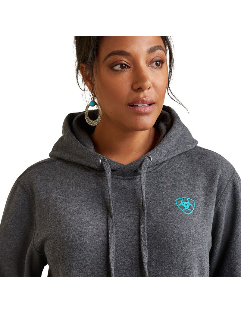 Sweat à Capuche Ariat Logo Grise | PBS-9889764