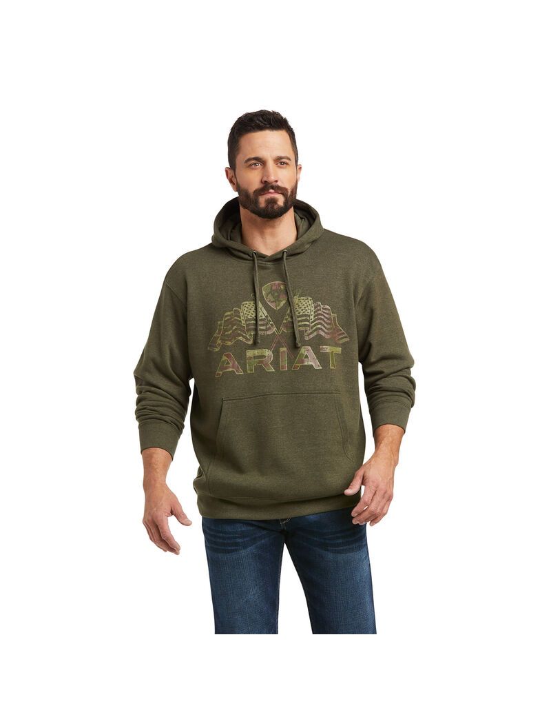 Sweat à Capuche Ariat Basic Sweatshirt Vert Olive | YRR-9571675