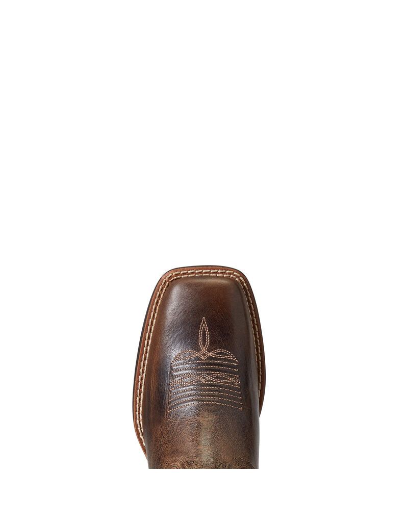 Bottes Western Ariat West Bound Multicolore | GHM-2404470